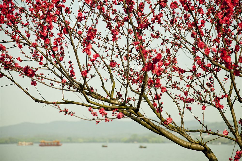 Liuying Hotel West Lake Hangzhou Zewnętrze zdjęcie